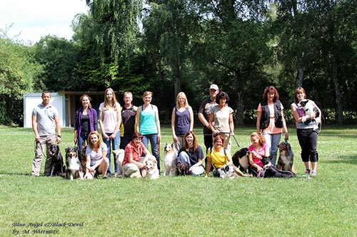 Begleithundeprüfung-beim-SVDH-GK-411 500